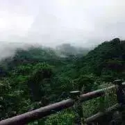 a 値下げ交渉ありの画像