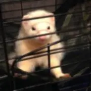 ろ