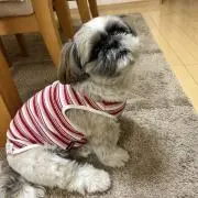 YUCCOの画像