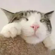 hsの画像