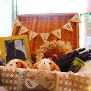 momoの画像