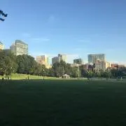 なまこの画像