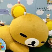 saの画像