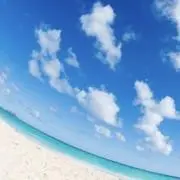 memeの画像