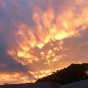 夕の画像
