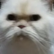 やまの画像