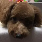 平成