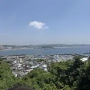 ザンちゃんの画像