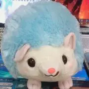 これにゃんの画像