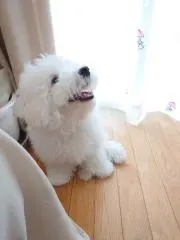 Takamaroの画像