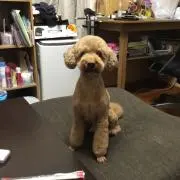 まっちゃん