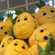 まよんの画像