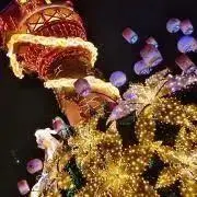 ぷっちょの画像