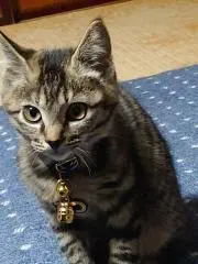 ゆうゆ