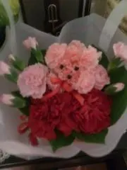 ピカケの画像