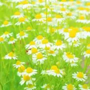 julienの画像
