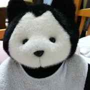 エルアの画像