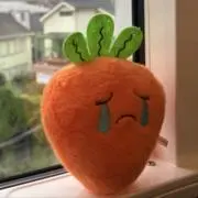 みかんの画像