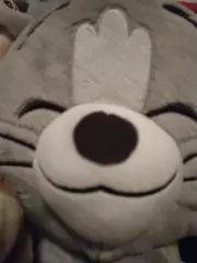 ピピン