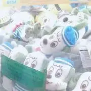 ハルの画像