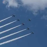 ぽん太の画像