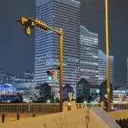 マレ180 ピンクバックホロ 魚じゃらし工房 - メルカリ