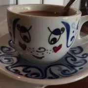 ウミネコの画像