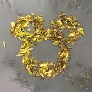 ロッキーの画像