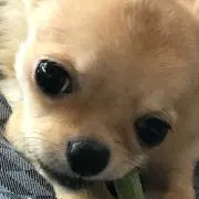 YASU♪