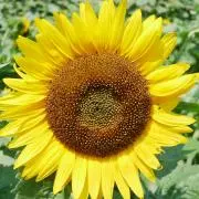 2525sun*☻の画像