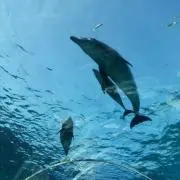 くう