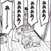 yの画像