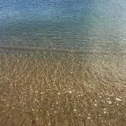zaikoの画像