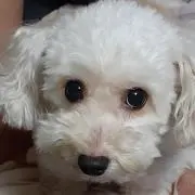 ズーさま