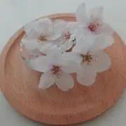 Hinairuの画像