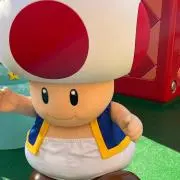 みかんの画像