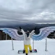 よっしーの画像