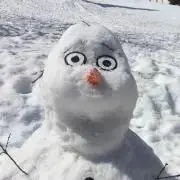 サラフィの画像