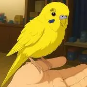 ぴーちゃんの画像