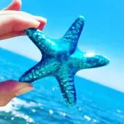 もこもこの画像