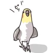 ふうりんの画像