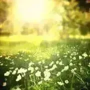 you ※おまとめ歓迎の画像