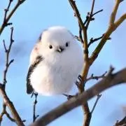 hari hariの画像