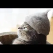 あき