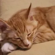 じゅんの画像