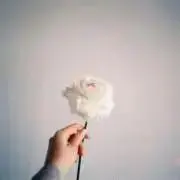 いちごみるく