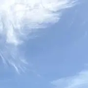 カイハの画像