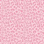 さくらんぼの画像