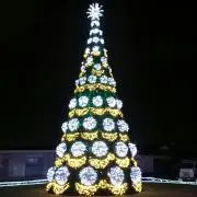 プロフ必読☆アップルの画像