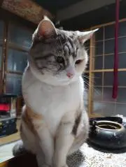えりちんの画像
